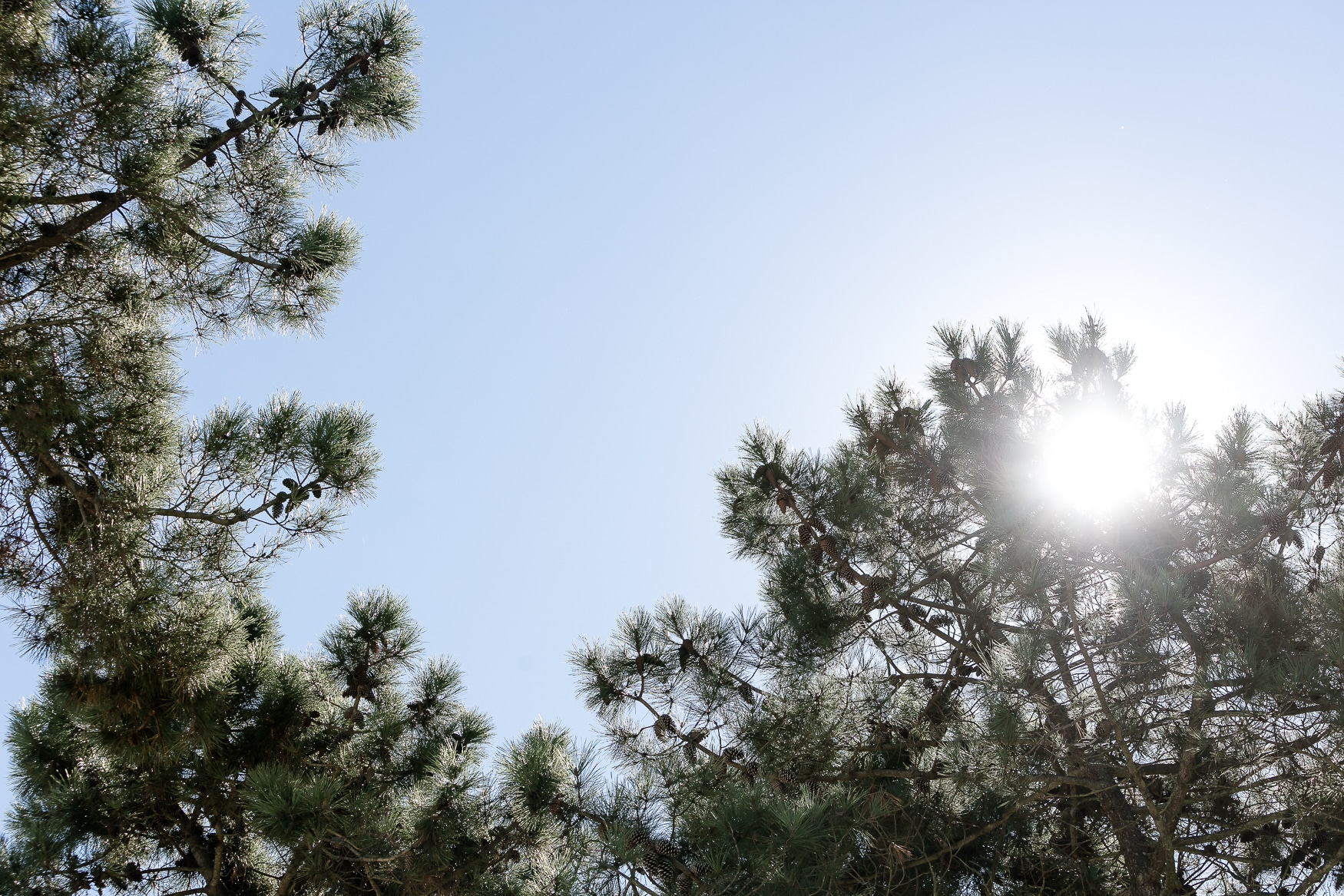 丨葡萄牙里斯本-21