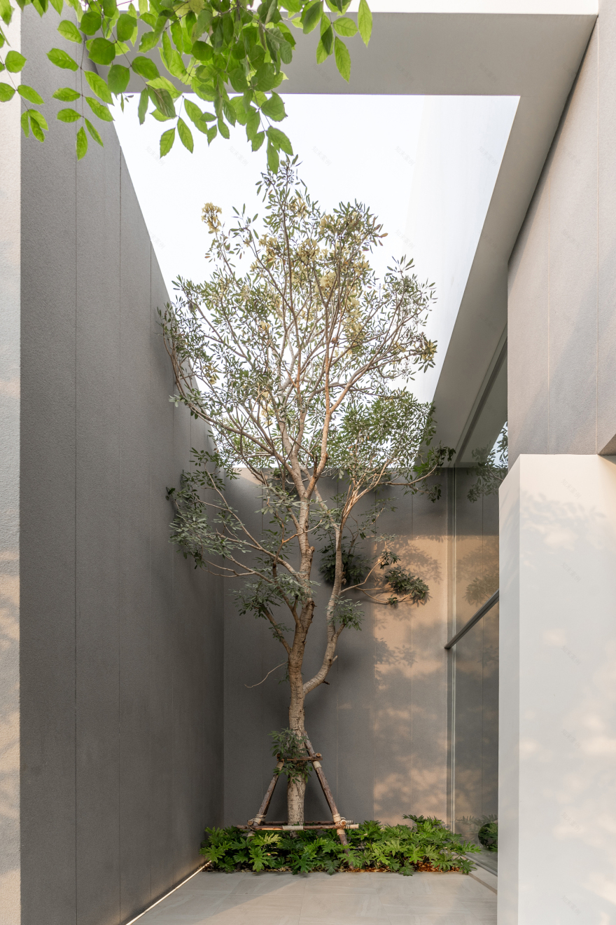 Mit Chit House丨泰国曼谷丨Looklen Architects-54