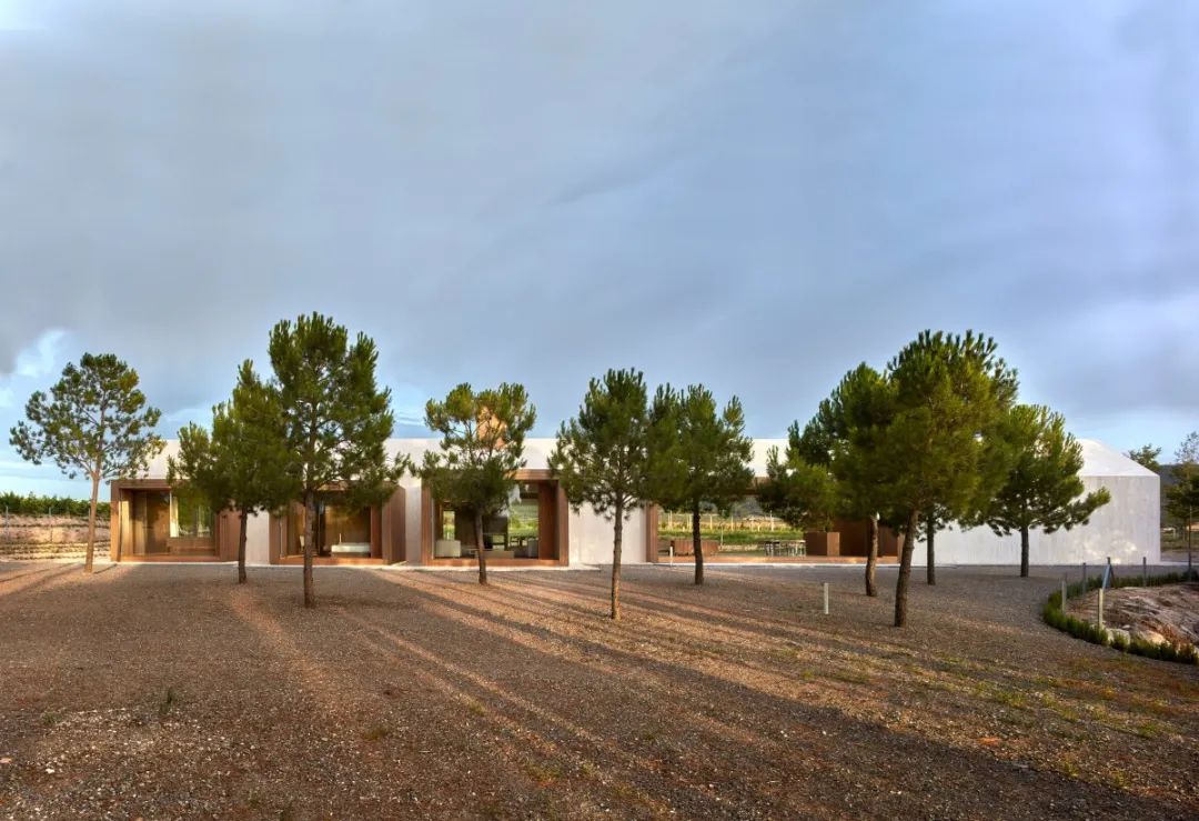 采石场房屋丨西班牙巴伦西亚丨Ramón Esteve 工作室-39