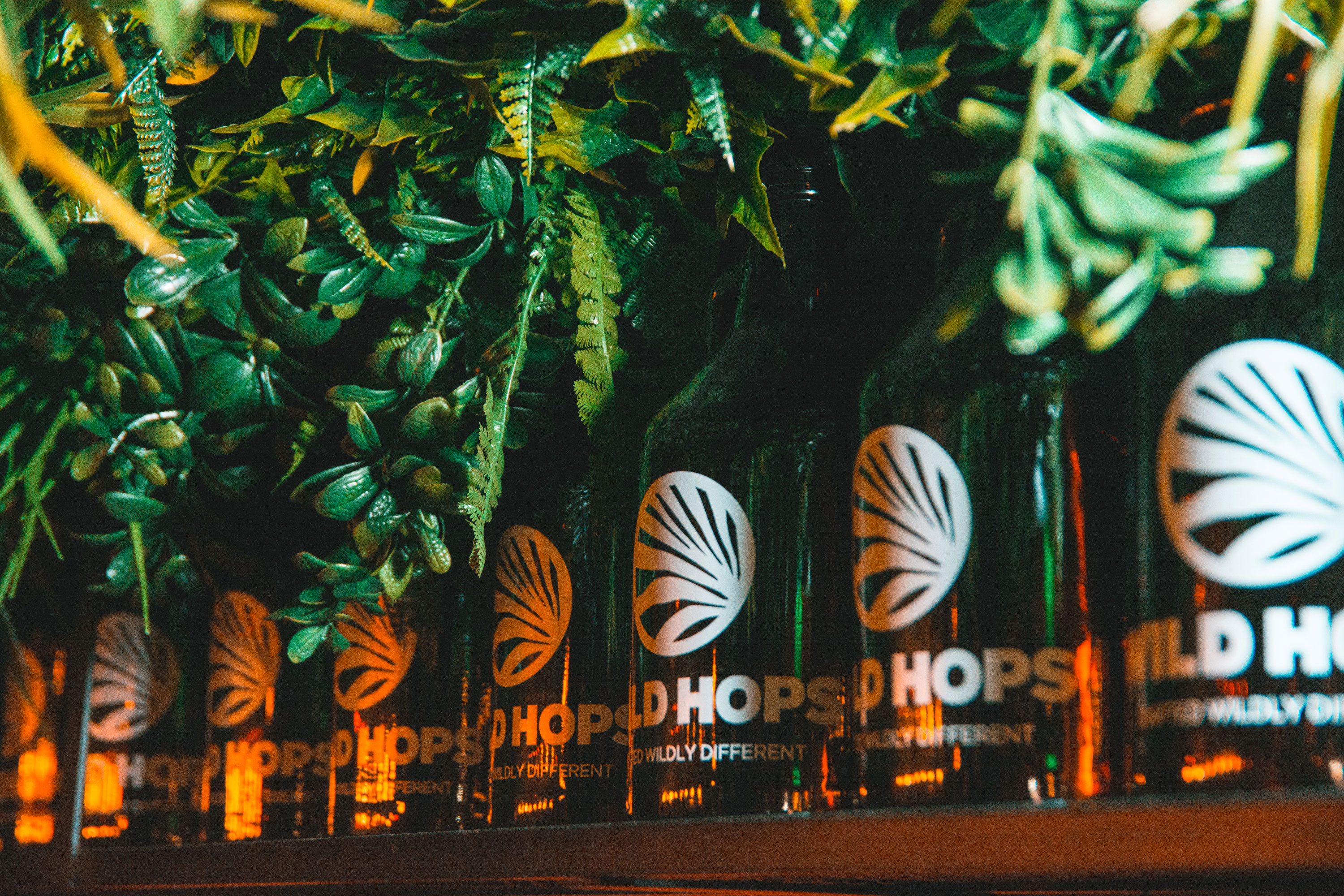 Wild Hops 啤酒品牌室内设计-72