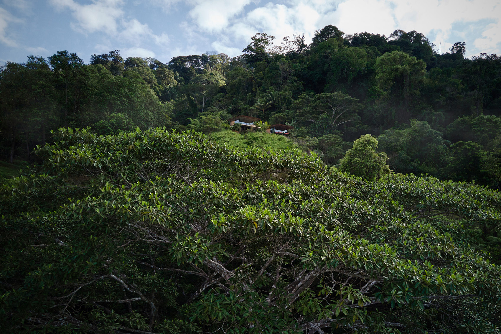 Achioté 双子别墅丨哥斯达黎加丨Formafatal 工作室-103