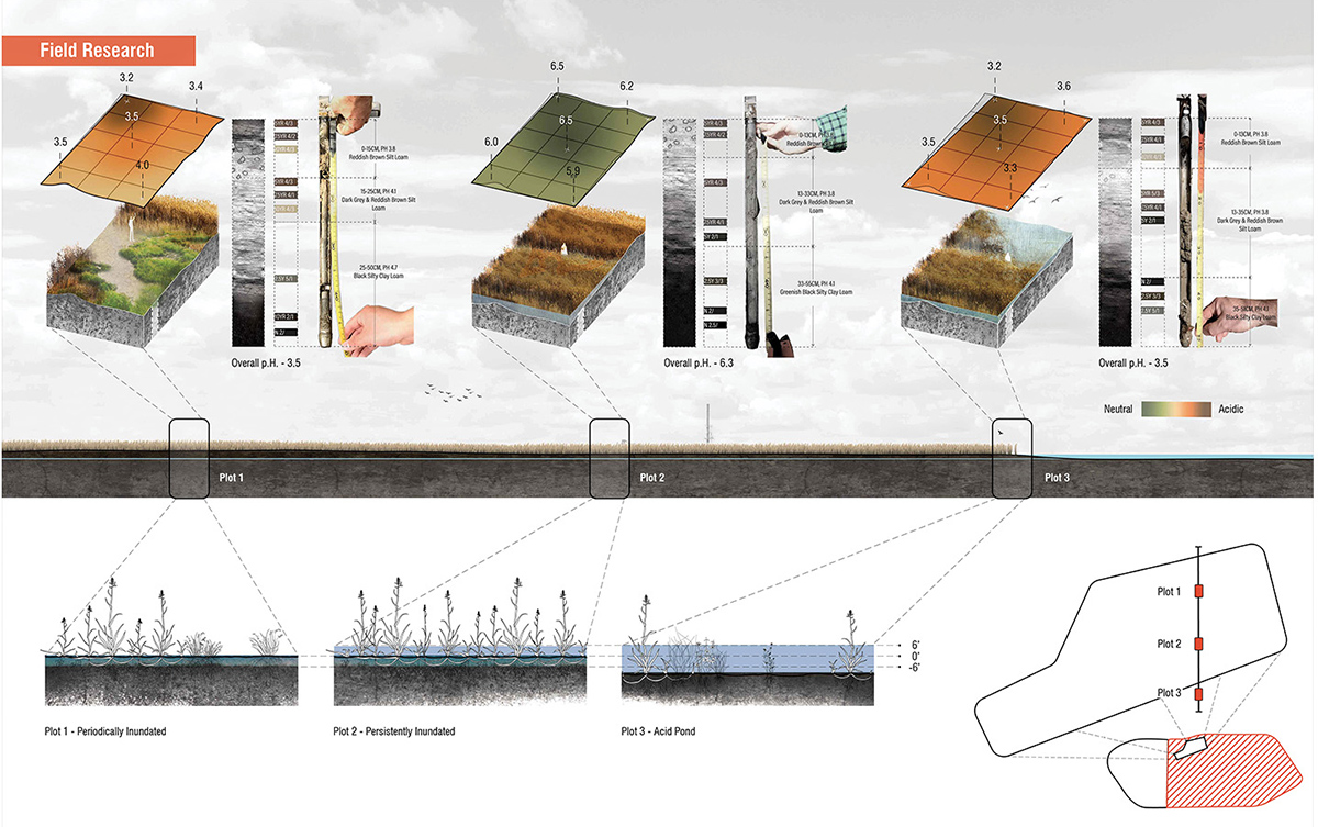 播种特异性 · 新型生态系统的种植材料和方法丨马里丨Mahan Rykiel Associates-2