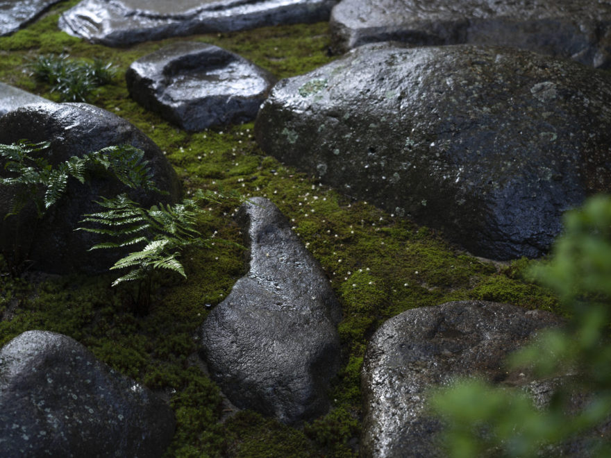 石の庭 · 舸子176丨Kazuya Sasaki(smallclone)-12