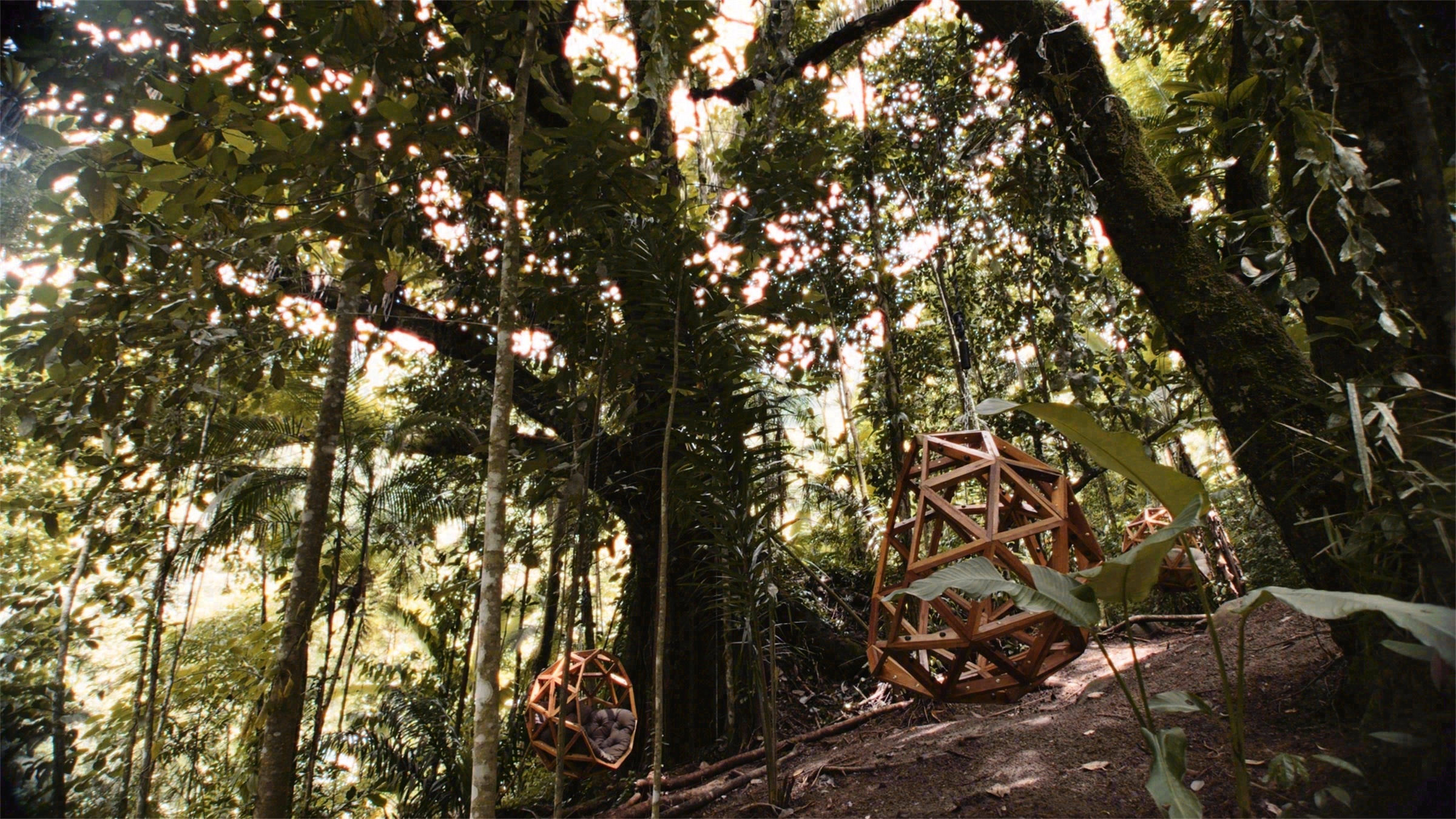 AYURU · 沉浸式自然体验中心丨巴西里约热内卢丨Atelier Marko Brajovic-10