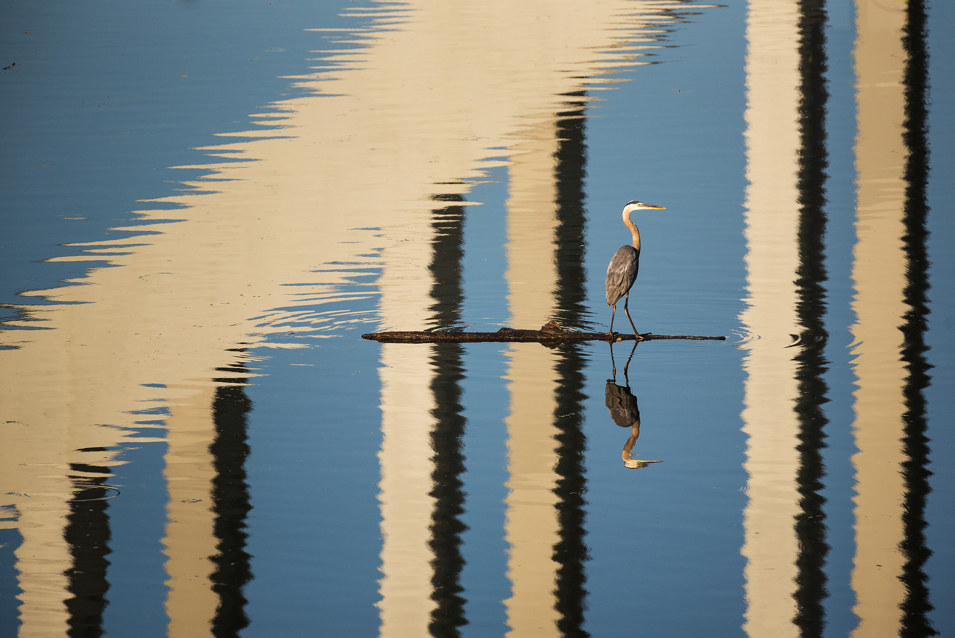 Knoxville, TN (USA).-51