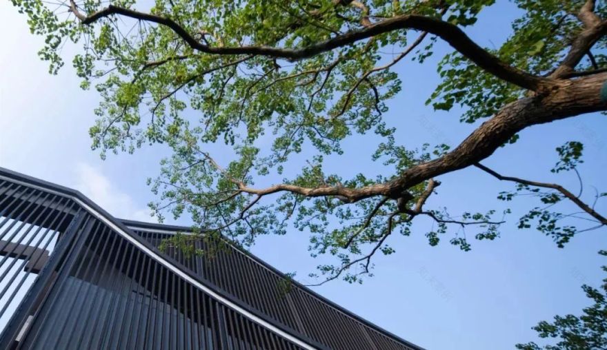 上海城开云外丨中国上海丨LAURENT罗朗景观-93