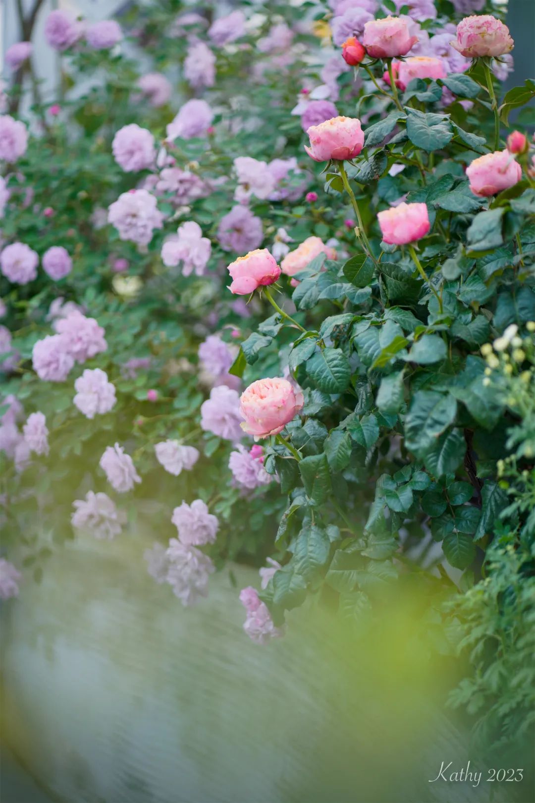 一米花园丨中国上海丨专业设计团队-66