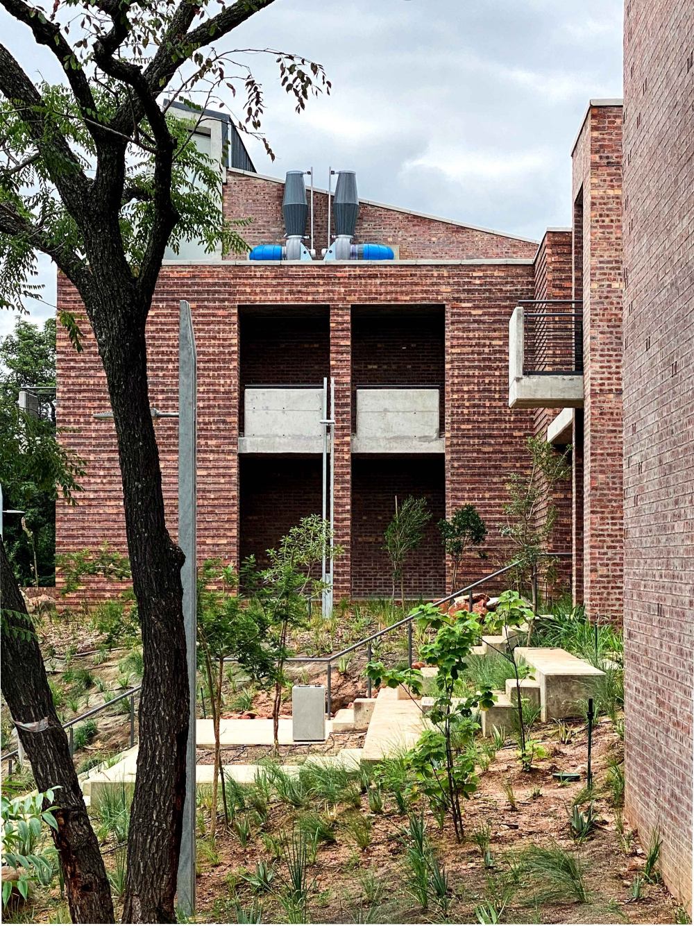 南弗里卡佩斯奎萨科学中心-34