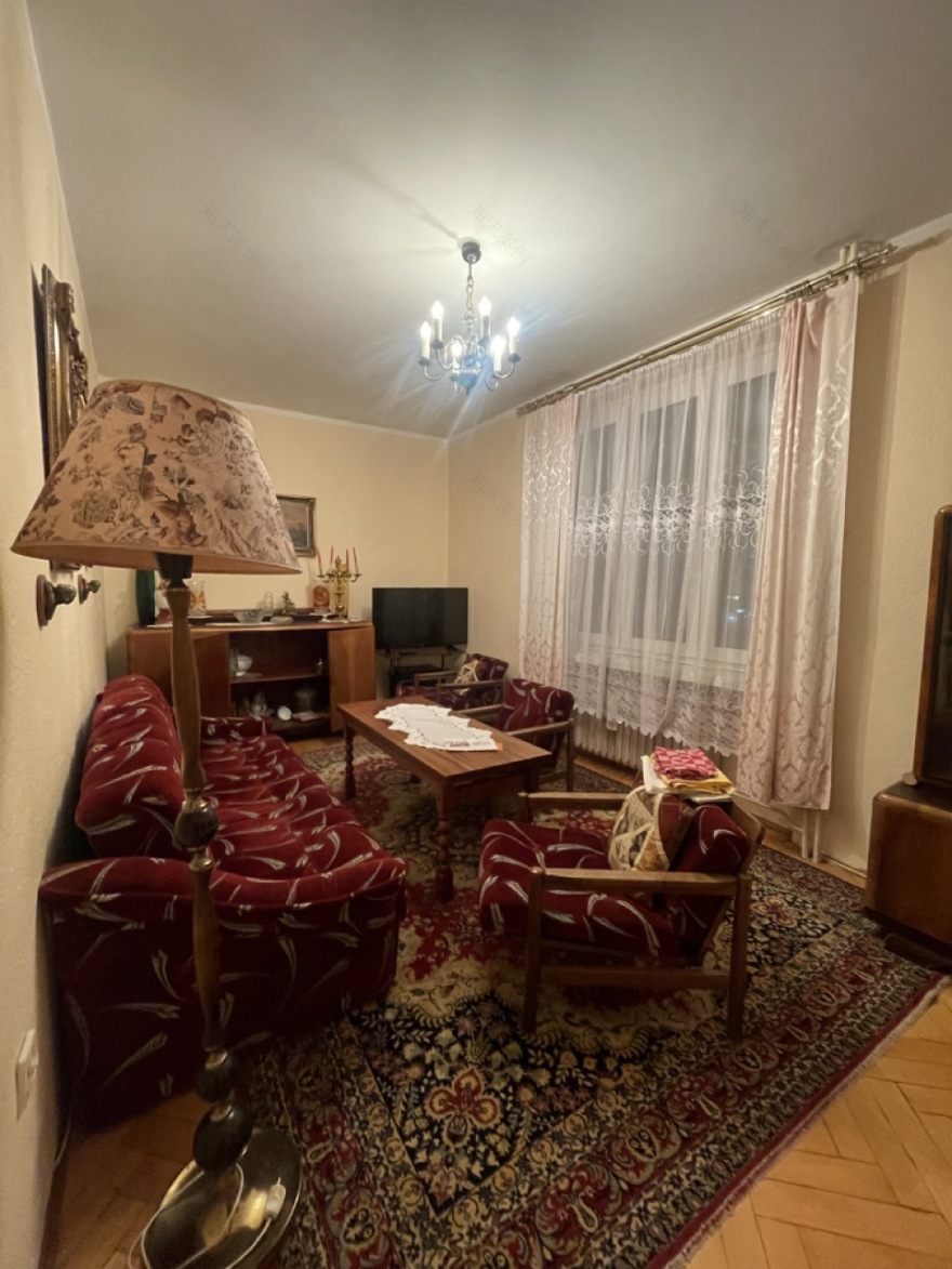 弗罗茨瓦夫现代主义联排别墅公寓改造丨波兰弗罗茨瓦夫-50