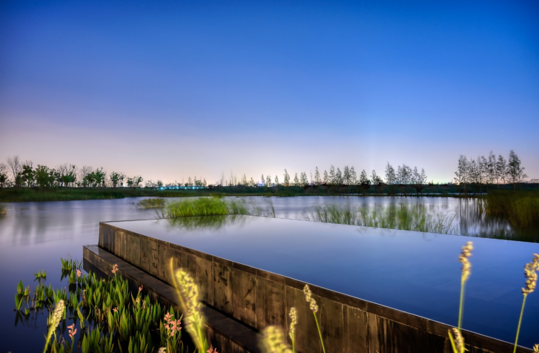 苏州鲁能泰山九号-69