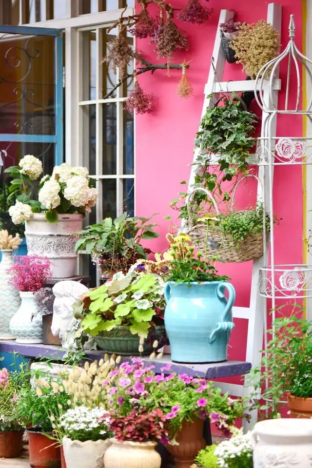 他建了座2亩的鲜花小院，满足你对花园的所有幻想-32