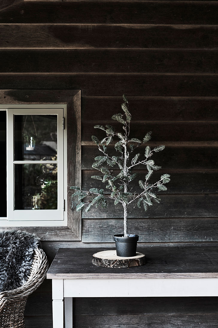 自然奇观 | Neptune 的圣诞装饰系列-10