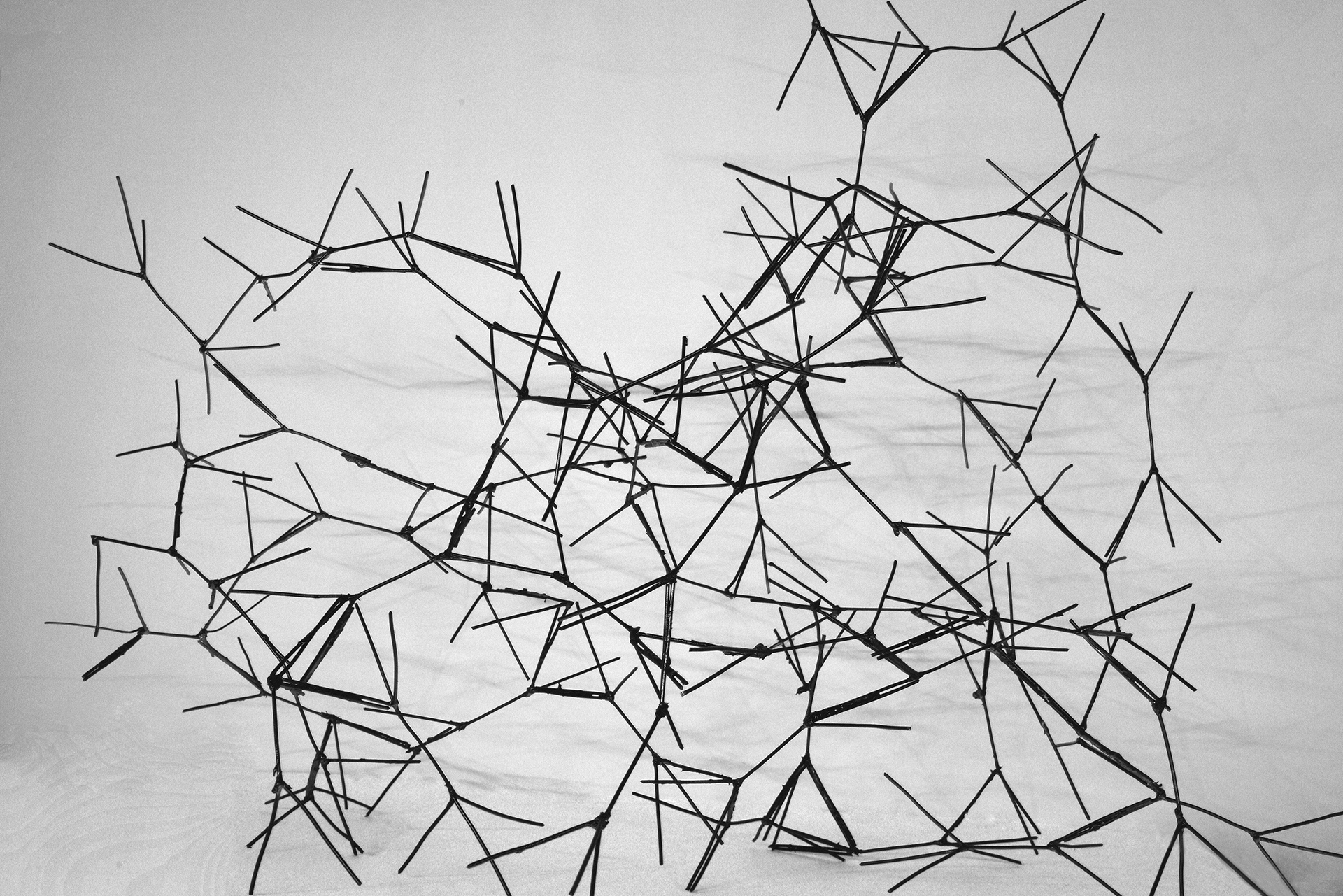 马特恩和帕滕,丝瓜络-13