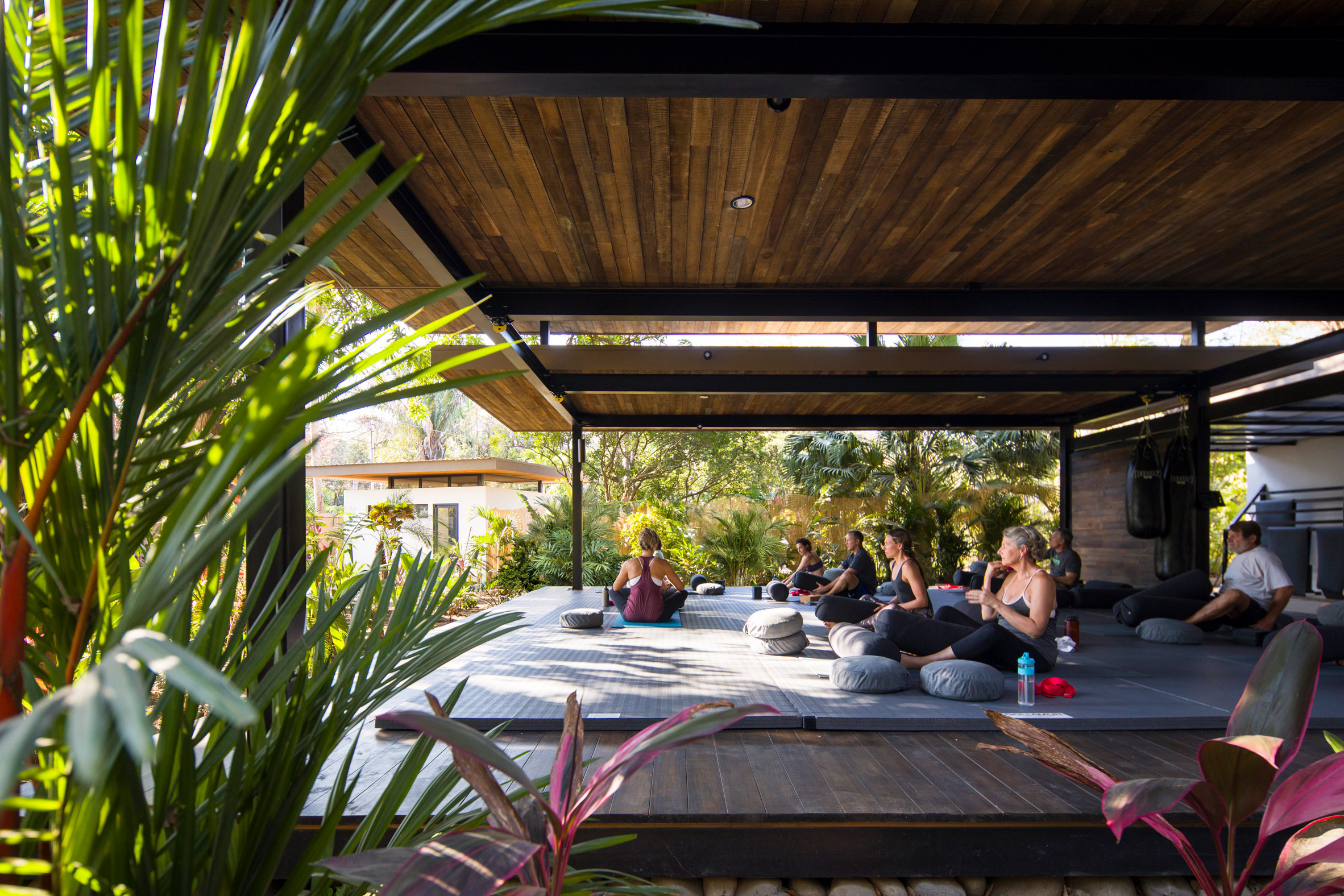 Studio Saxe surrounds Costa Rican yoga retreat with jungle planting-4
