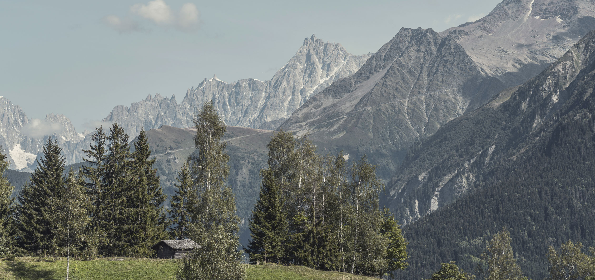 木屋项目丨法国-13