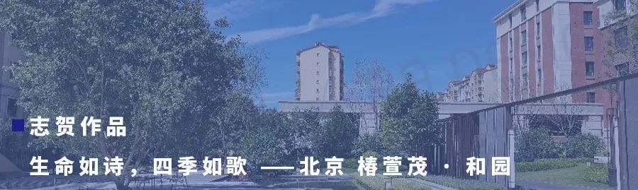 智能技术助力老年人生活，国务院办公厅实施方案解读-90