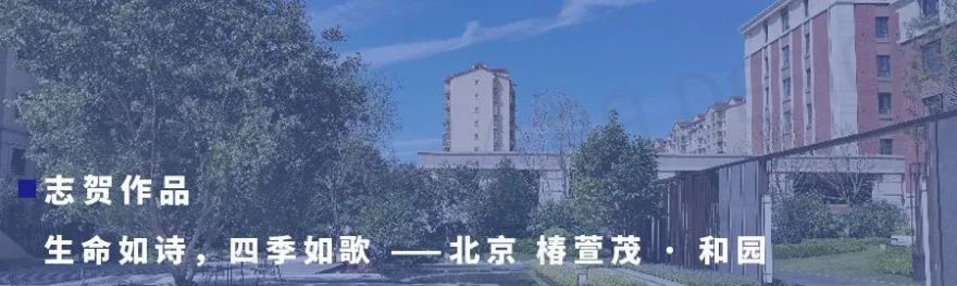 邕武医院 | 三级综合医院的平战结合设计之路-125