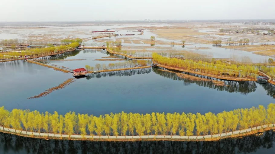 雄安白洋淀水岸公园景观设计丨TLS景观设计事务所-3