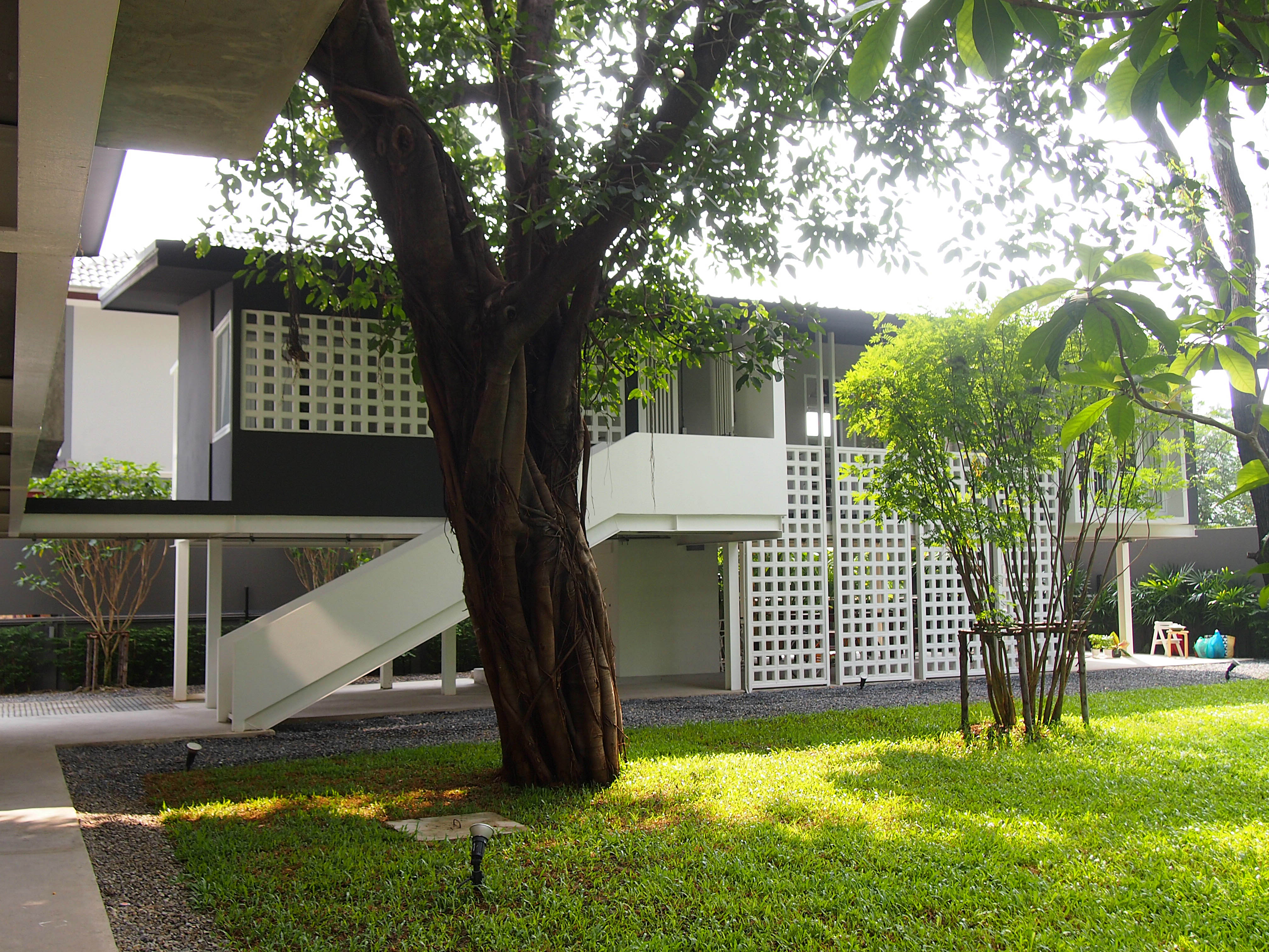 丨อาจารย์ต้นข้าว ปาณินท์（教师稻谷·潘尼）-20