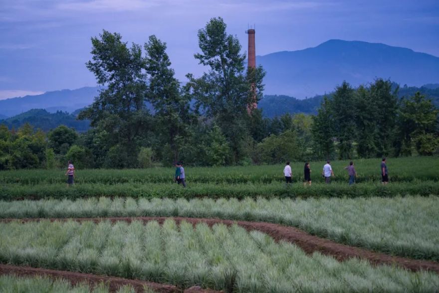 峨眉·高桥小镇丨中国眉山丨四川乐道景观设计有限公司-52