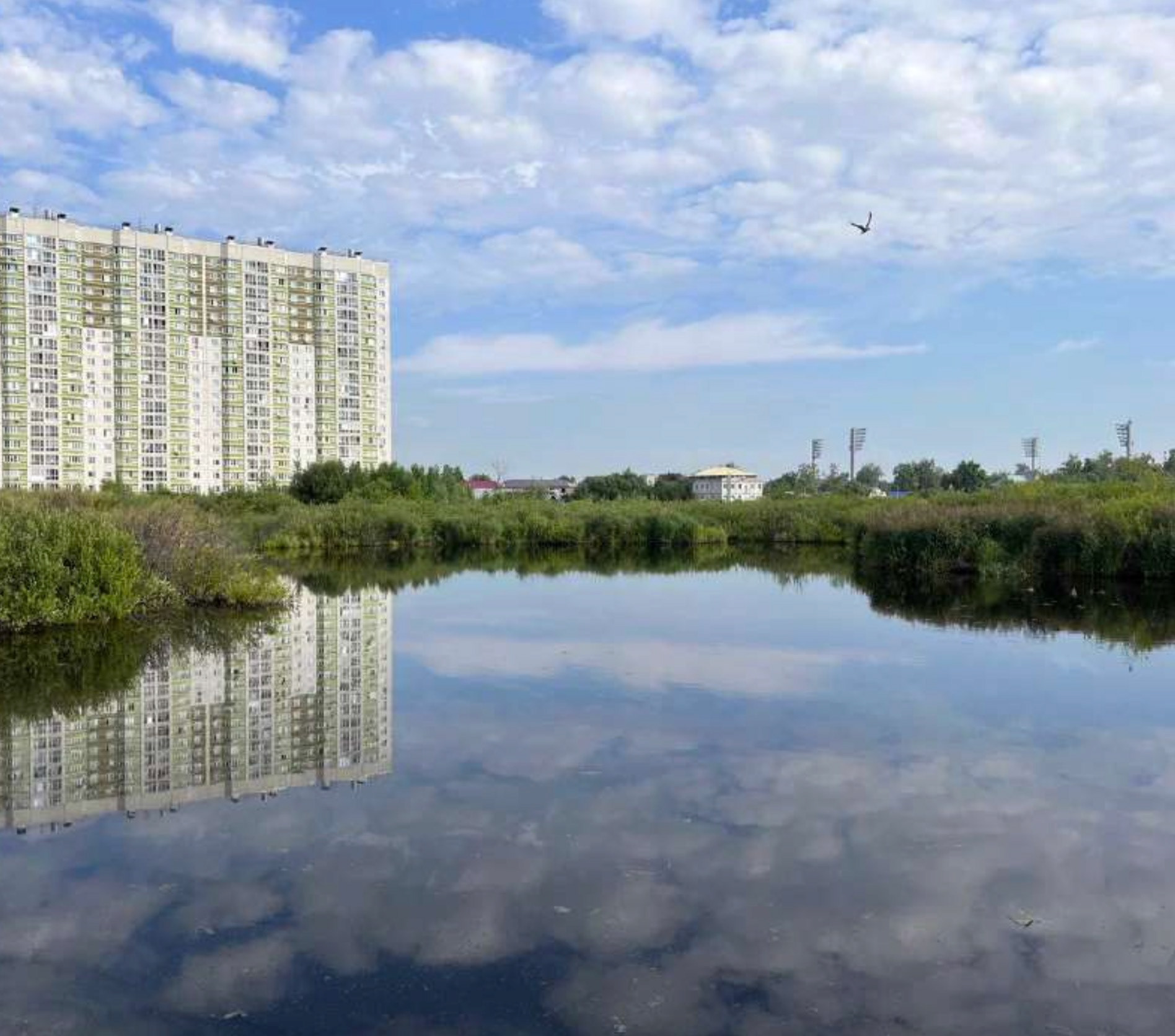 学校景观设计丨俄罗斯诺夫哥罗德丨LAMP-14