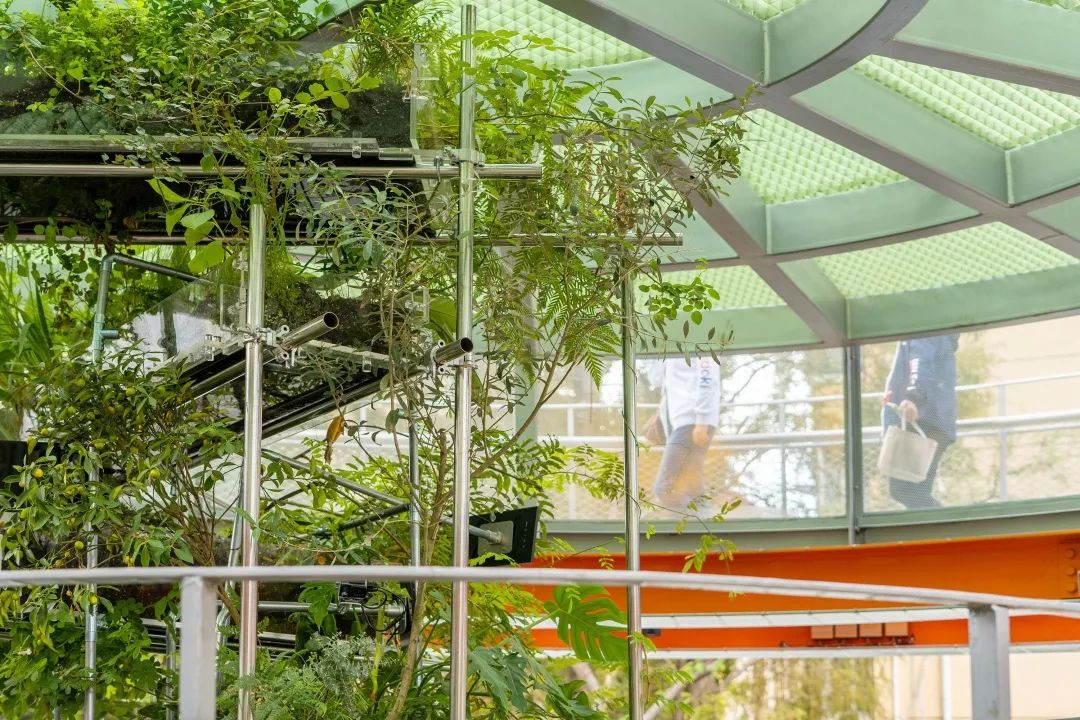 植物公寓 · 客厅里的生态艺术装置丨中国上海丨刘宇扬建筑事务所-47