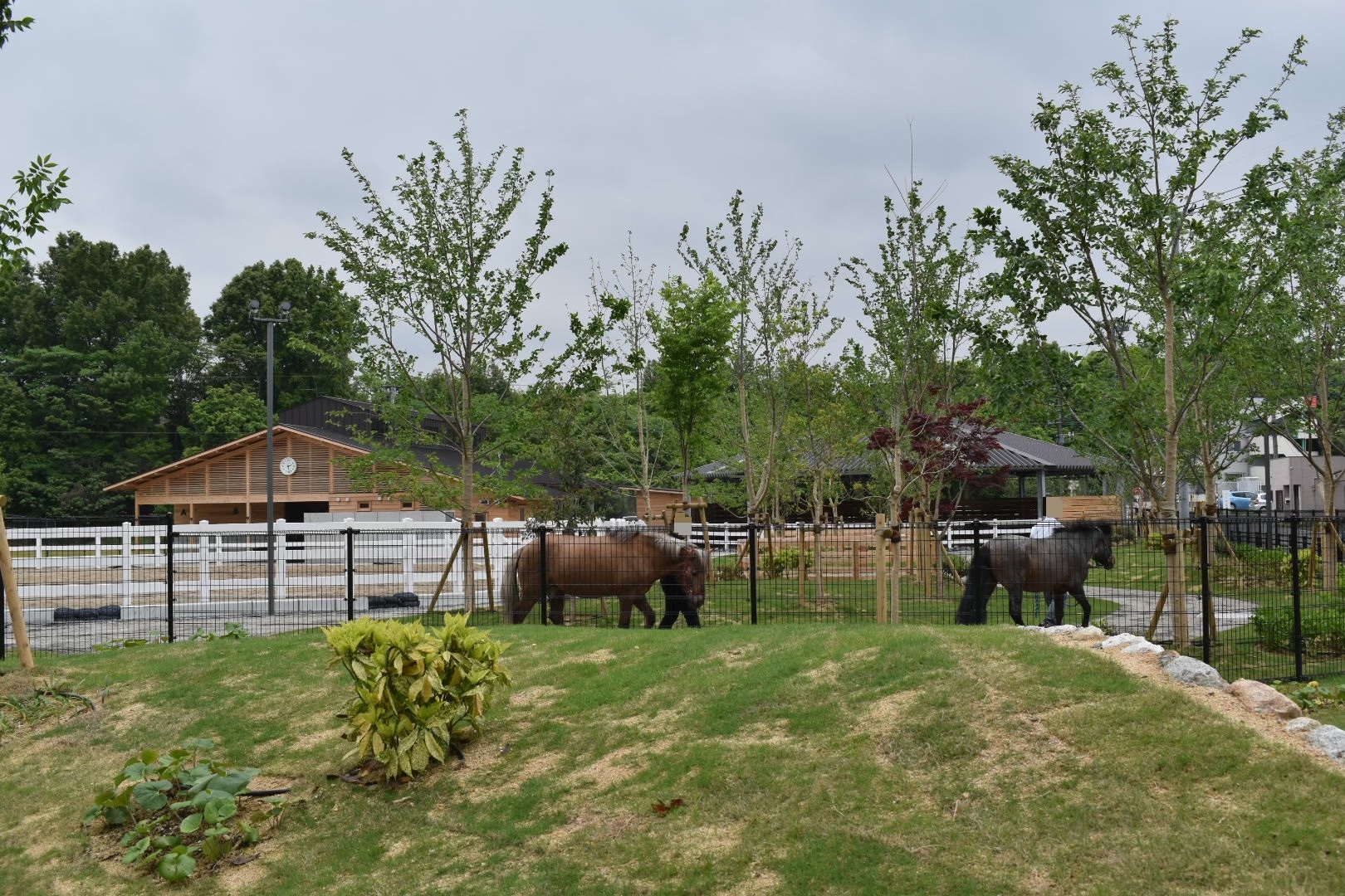 のぞえ牧場ギャロップオープン丨環・設計工房-16