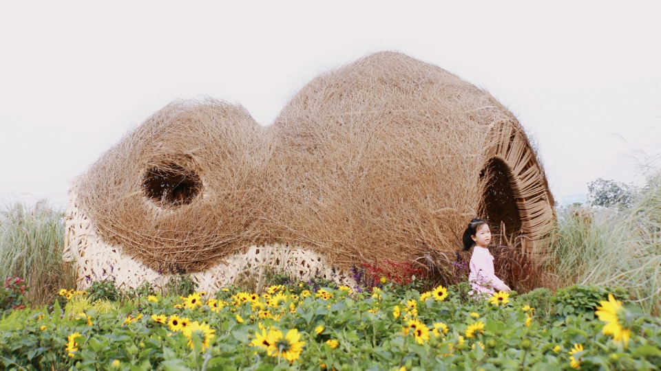 秘境花园 | 树洞中的心灵秘境-3
