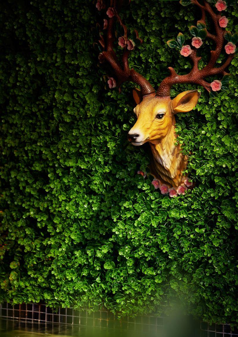 繁花里音乐餐吧-9