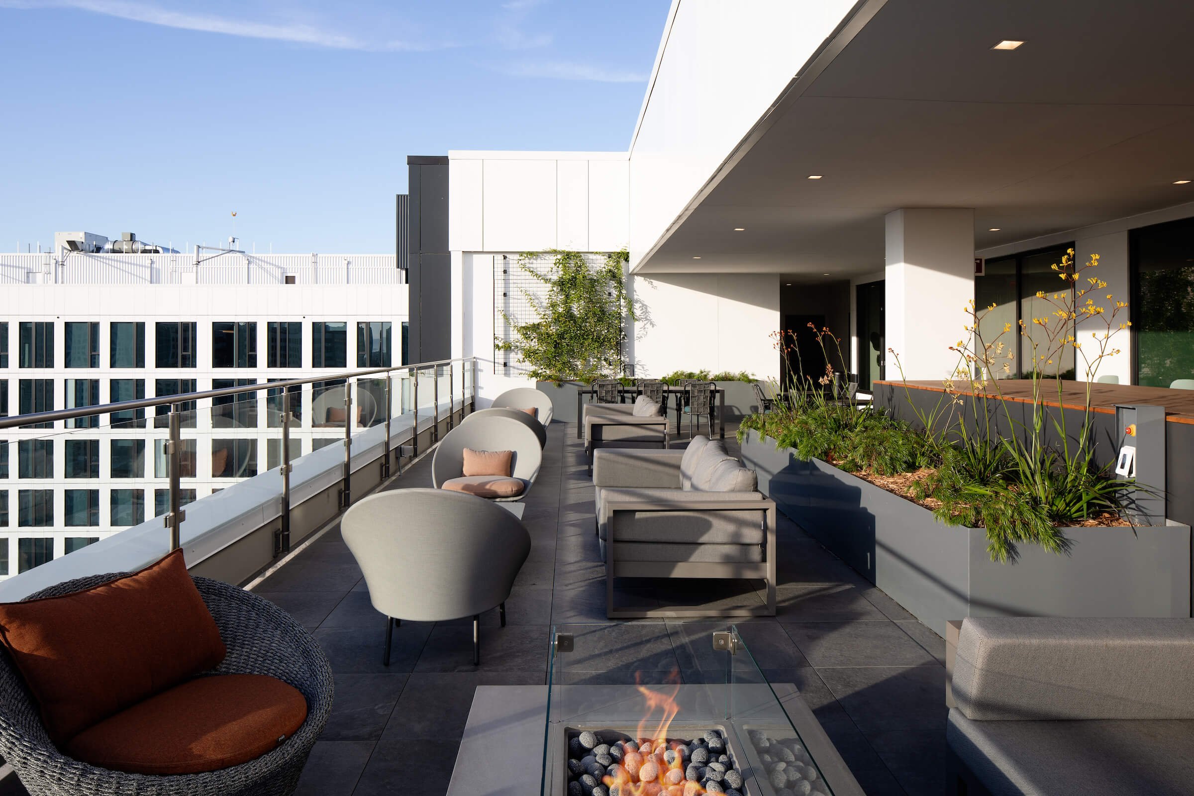 丨美国丨Vida Design-43