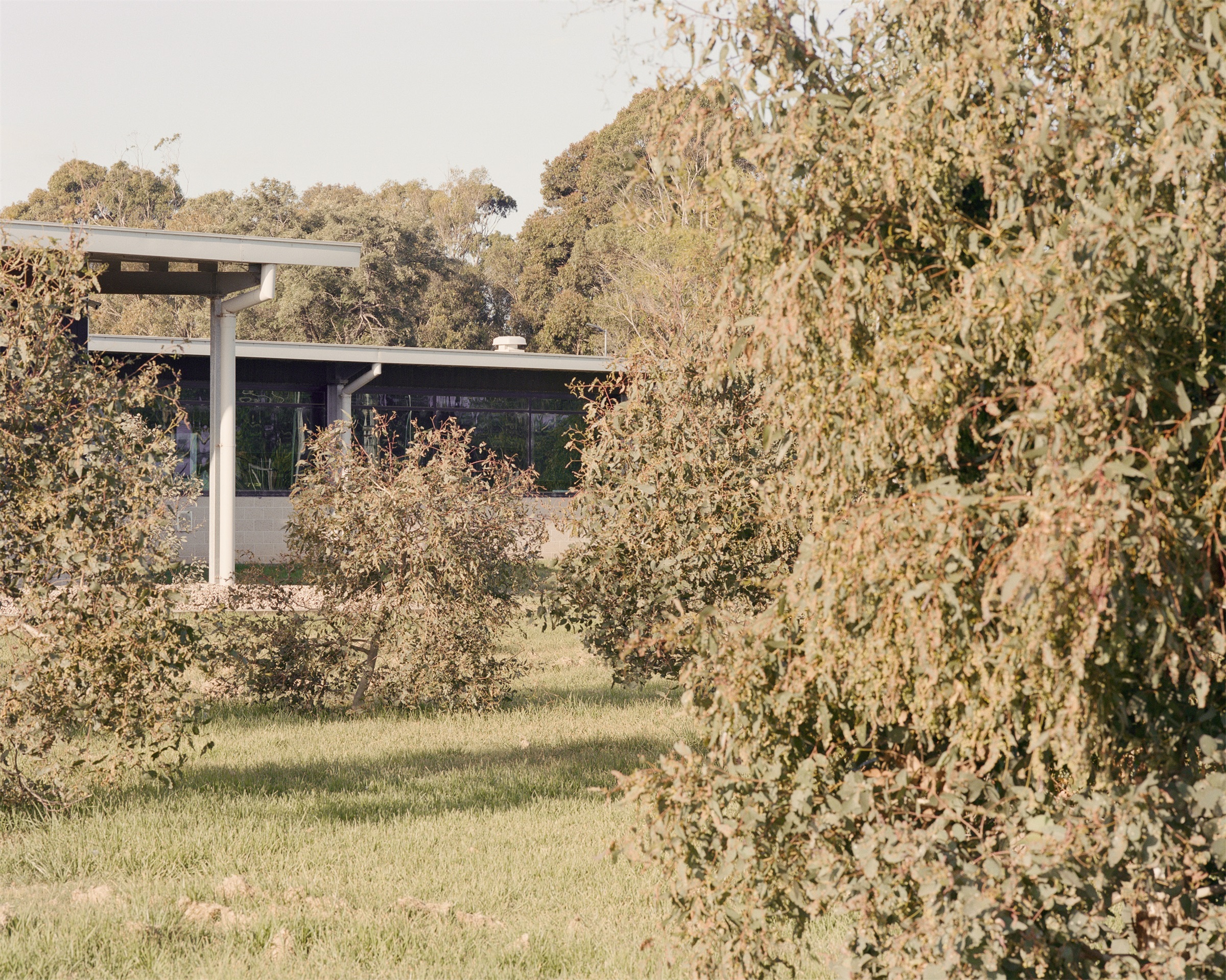 科科罗克西部处理厂丨澳大利亚丨REALMstudios-23