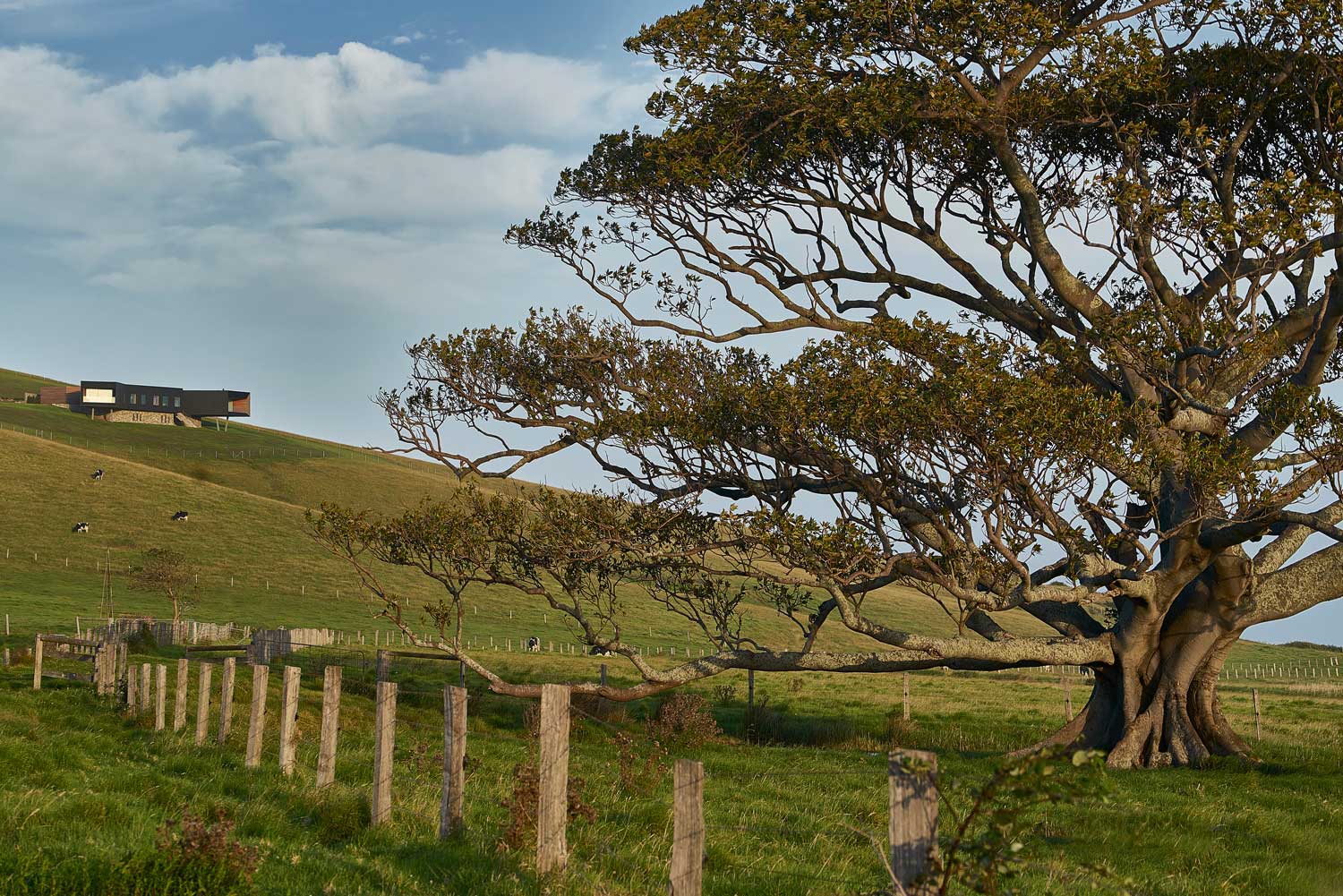 Werri Beach House in NSW by Atelier Andy Carson-42