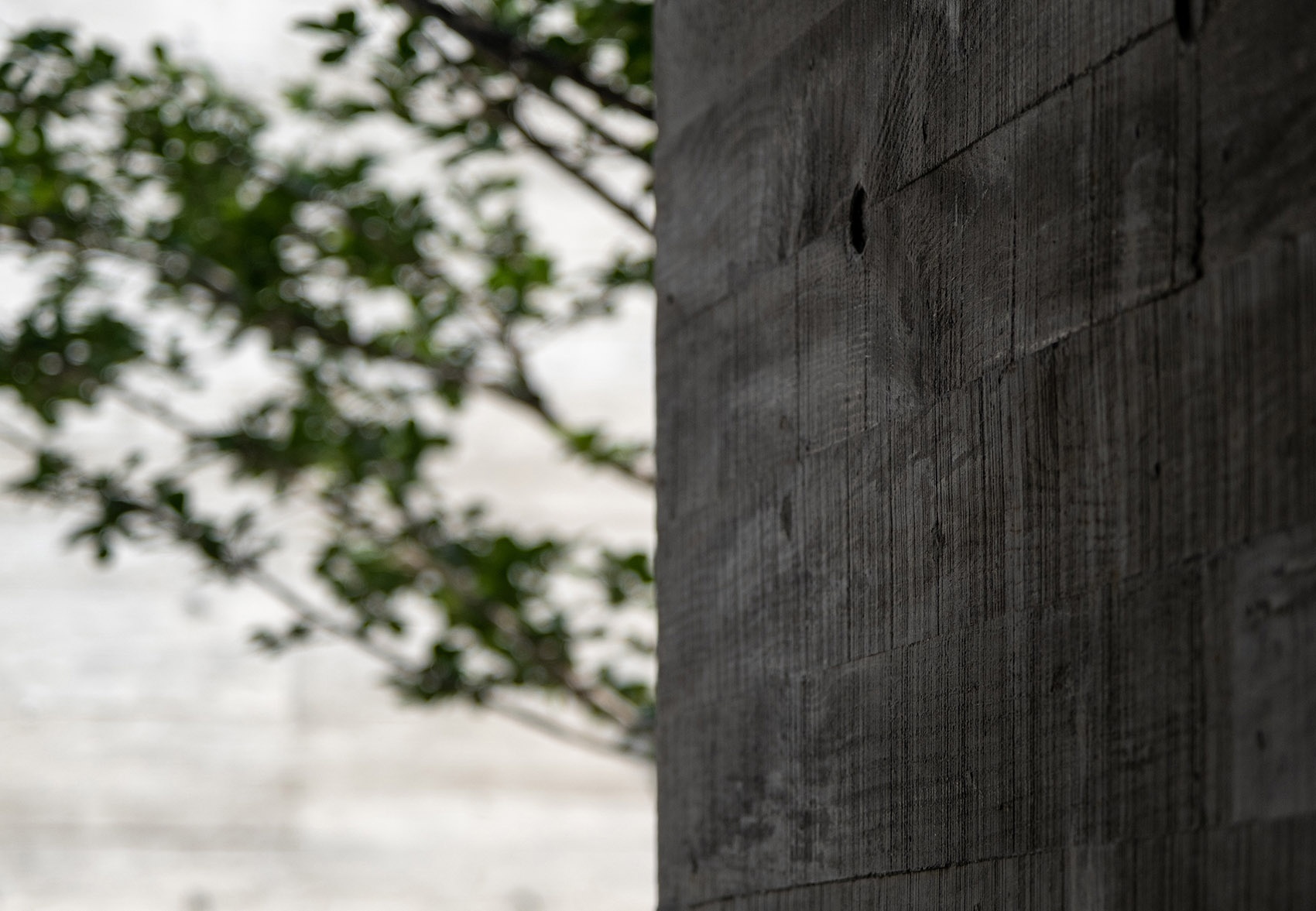 “清水园”私人居住空间丨中国漳州丨默认建筑工作室-100