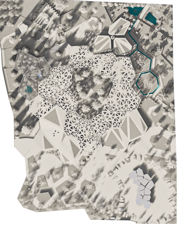 巴勒斯坦自然保护中心-19