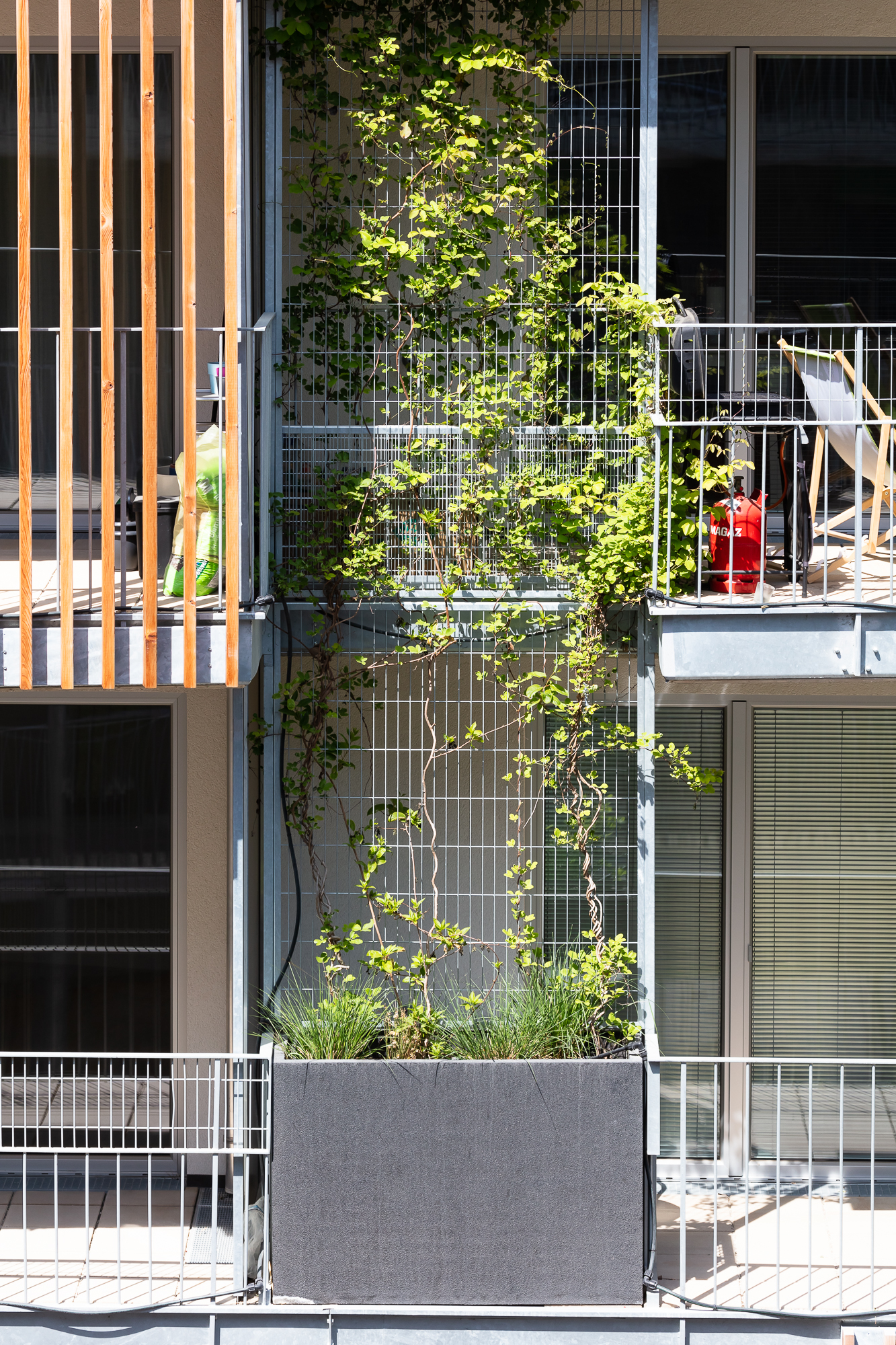 生活花园丨INNOBA-8