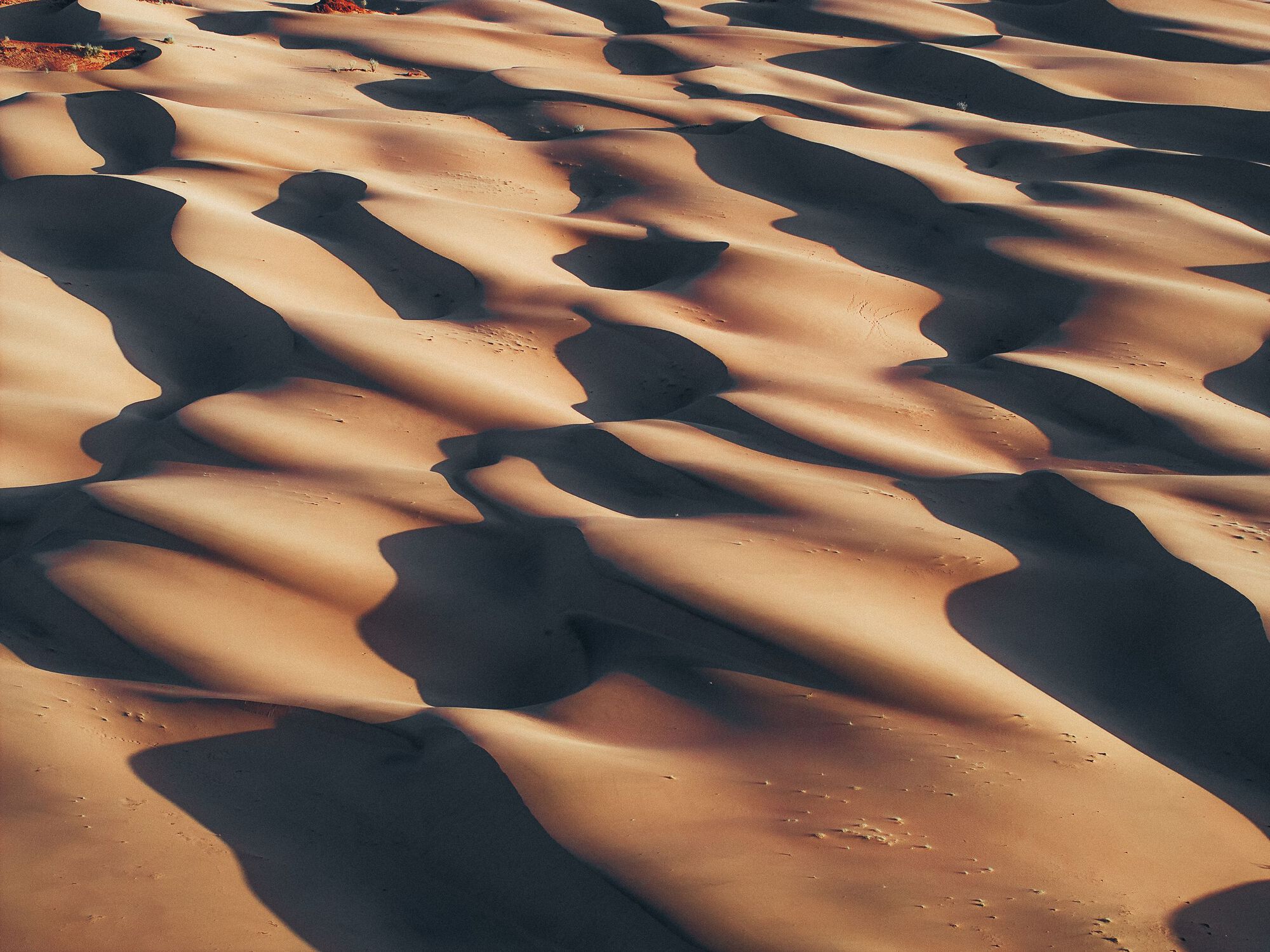 六善南部沙丘度假村丨沙特阿拉伯丨Foster + Partners-30