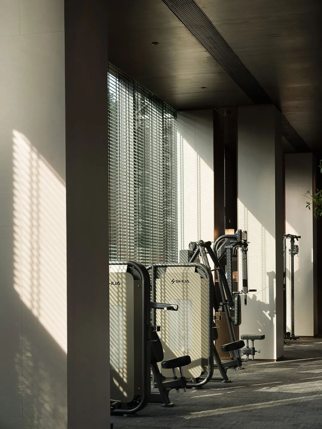 都市里的自然避风港丨中国广州丨王小锋-53