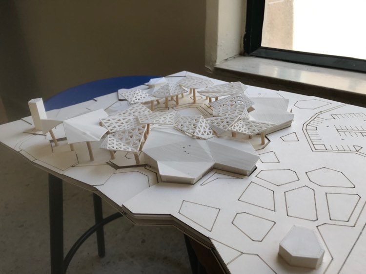 巴勒斯坦自然保护中心-39