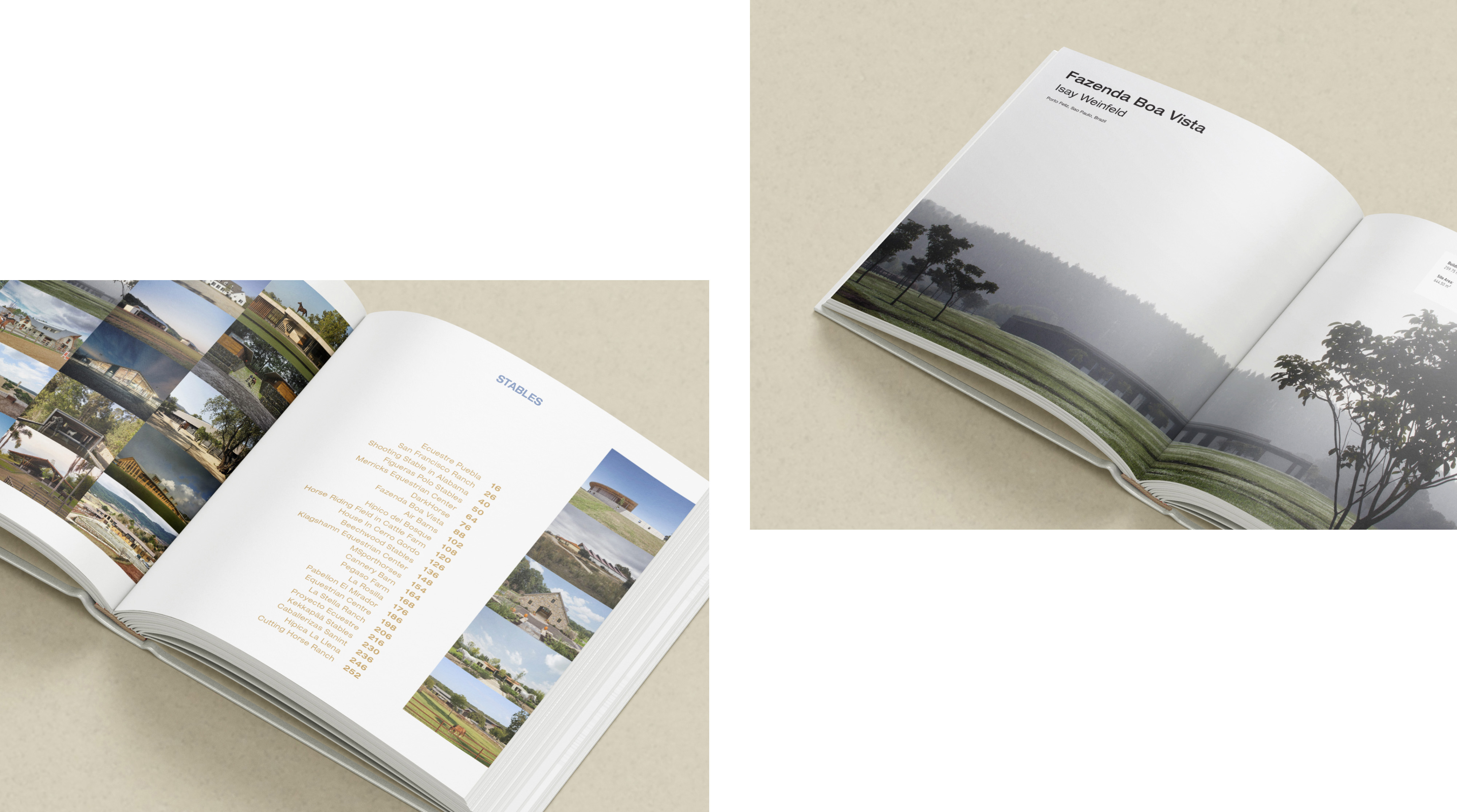 马厩·里佐利编辑设计丨Rizzoli International Publishing-9