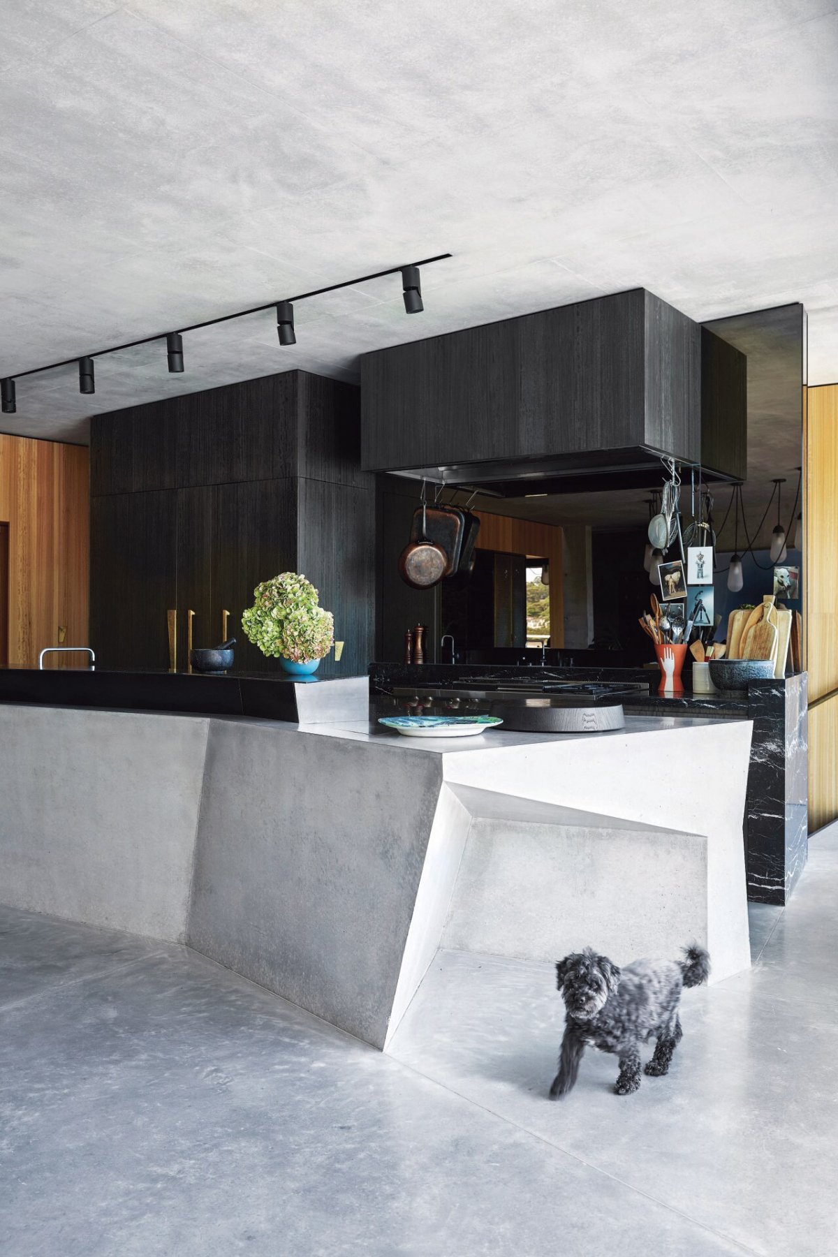 悉尼家庭住宅-6