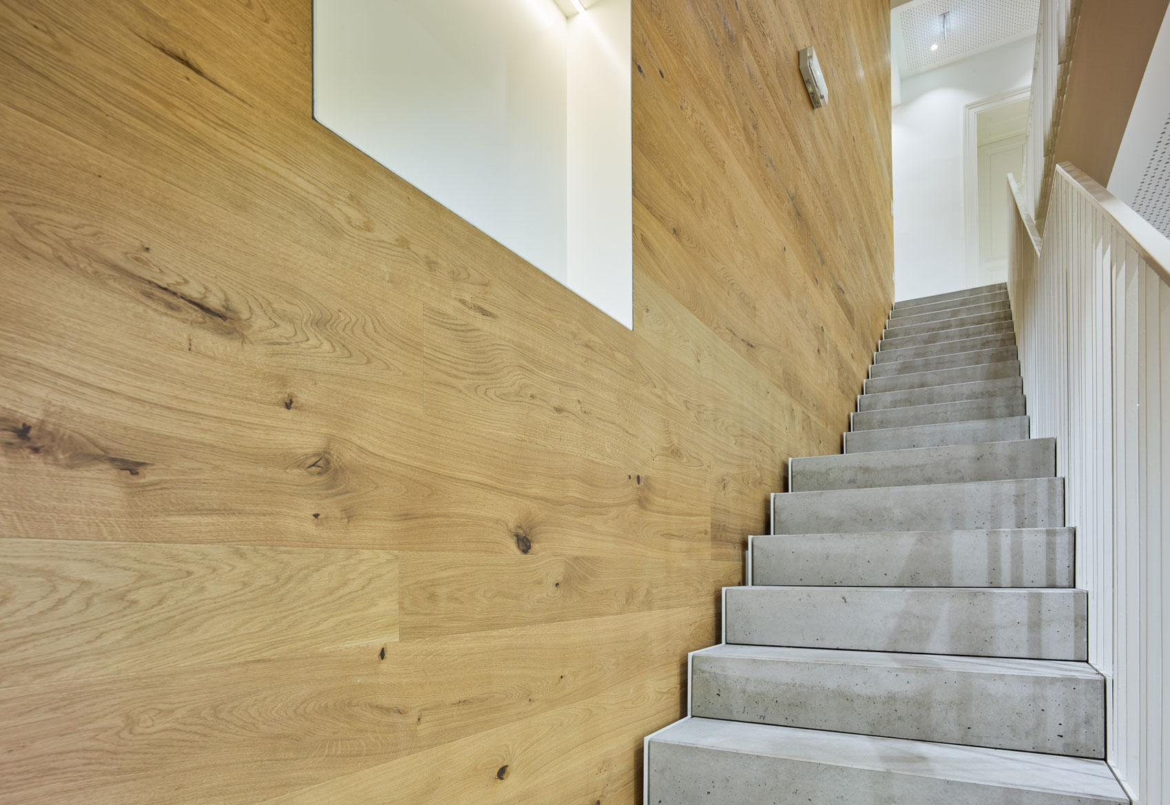 arenas basabe palacios |   FAVORITENSTRASSE-1