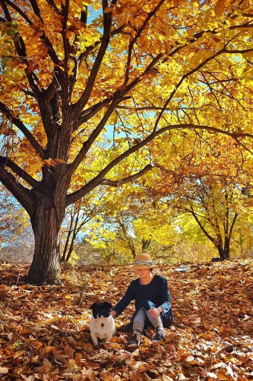 买不起房，小夫妻把牛棚改造成家，竟成300㎡大别墅还有150㎡花园菜地......-161