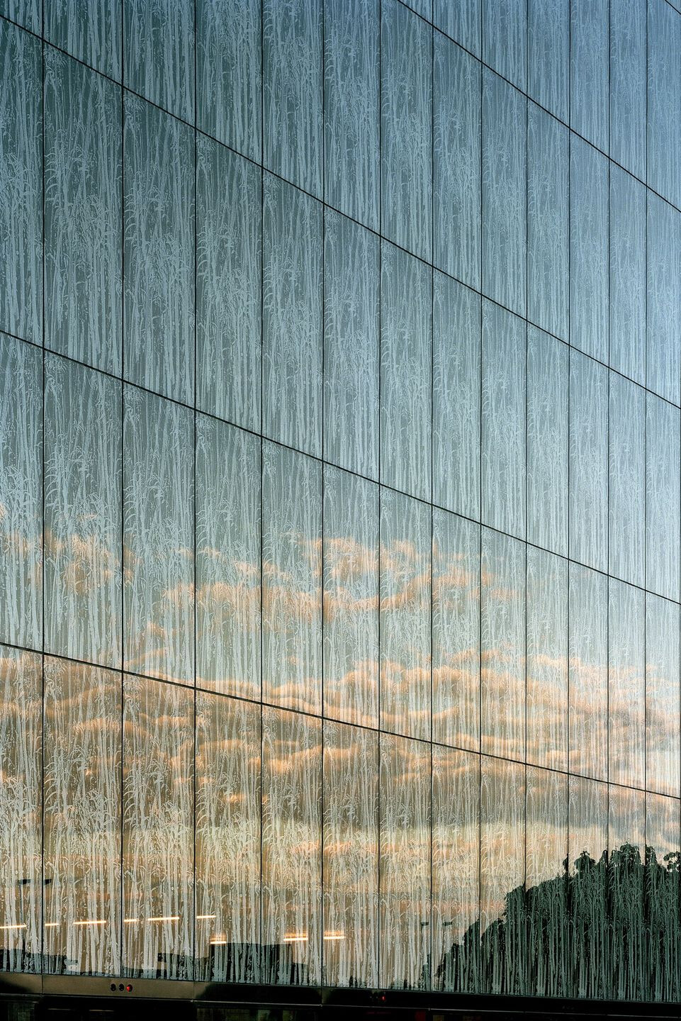 乌得勒支大学图书馆-16