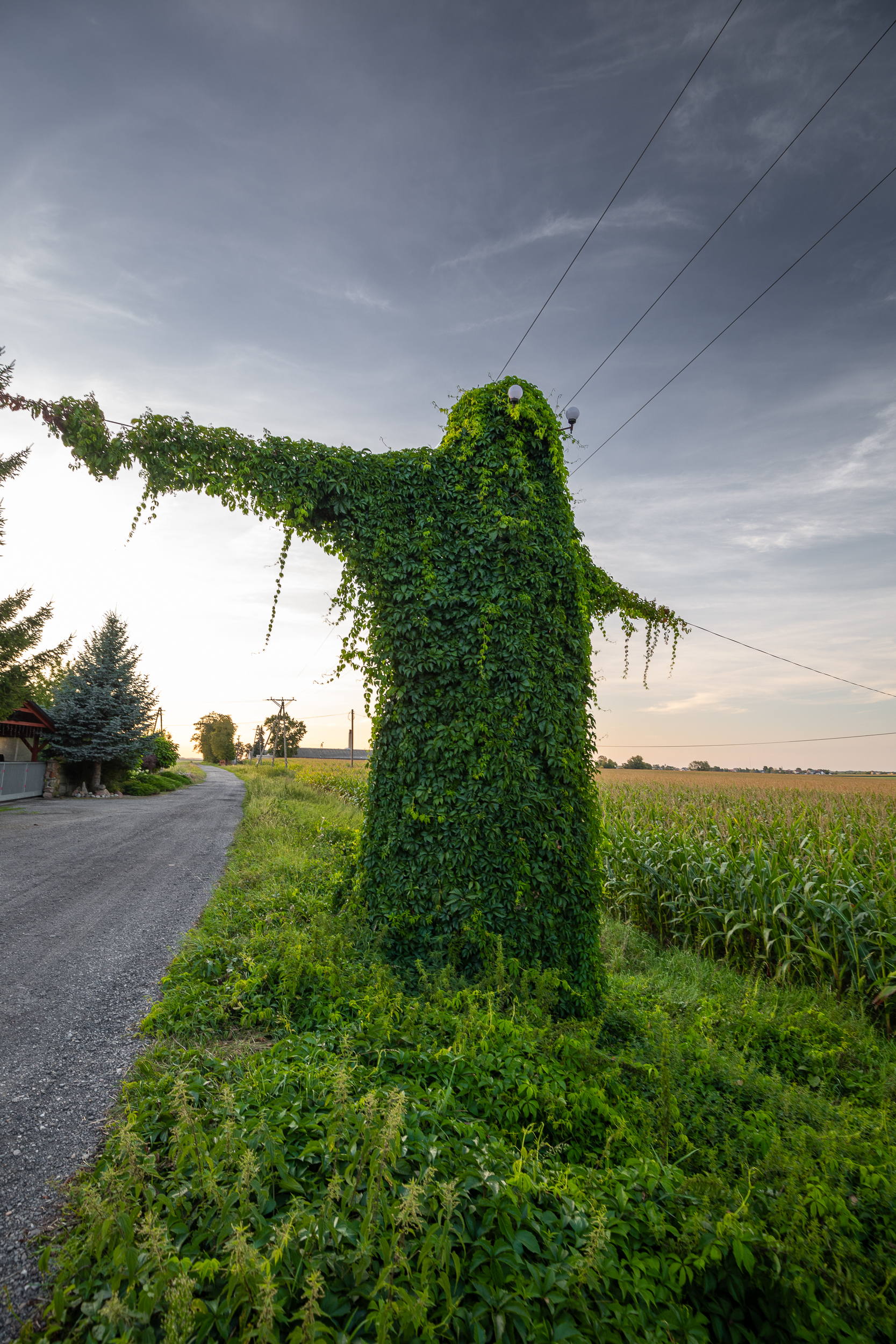 波兰奥波莱省“神秘生物”电线杆景点丨波兰波莱-9