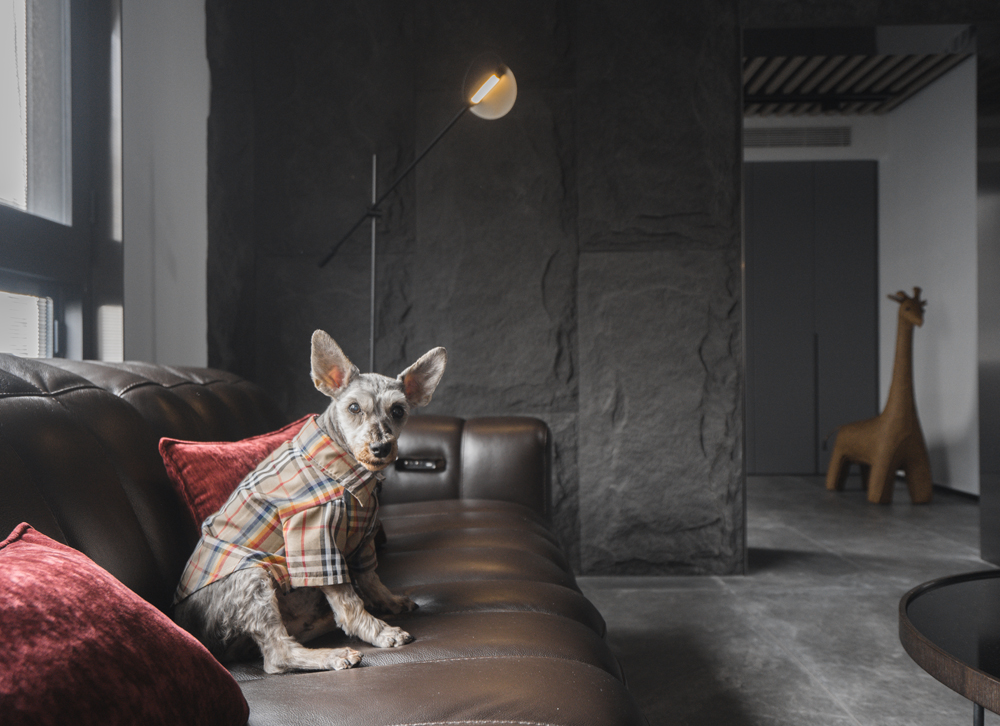 黑铁时代,手枪户型完美逆袭-13