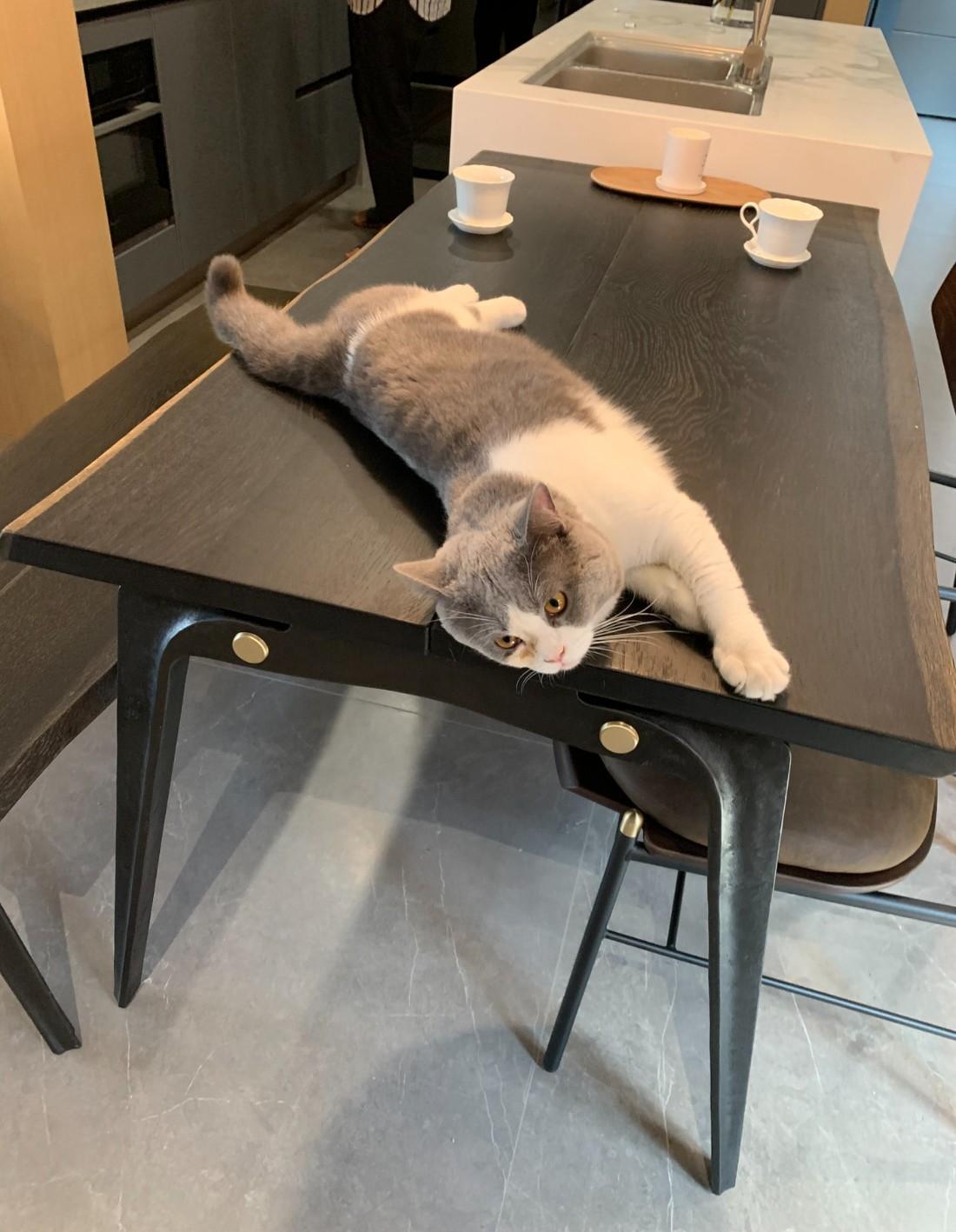 重构空间 · 打造宜居生活的设计魔法-85