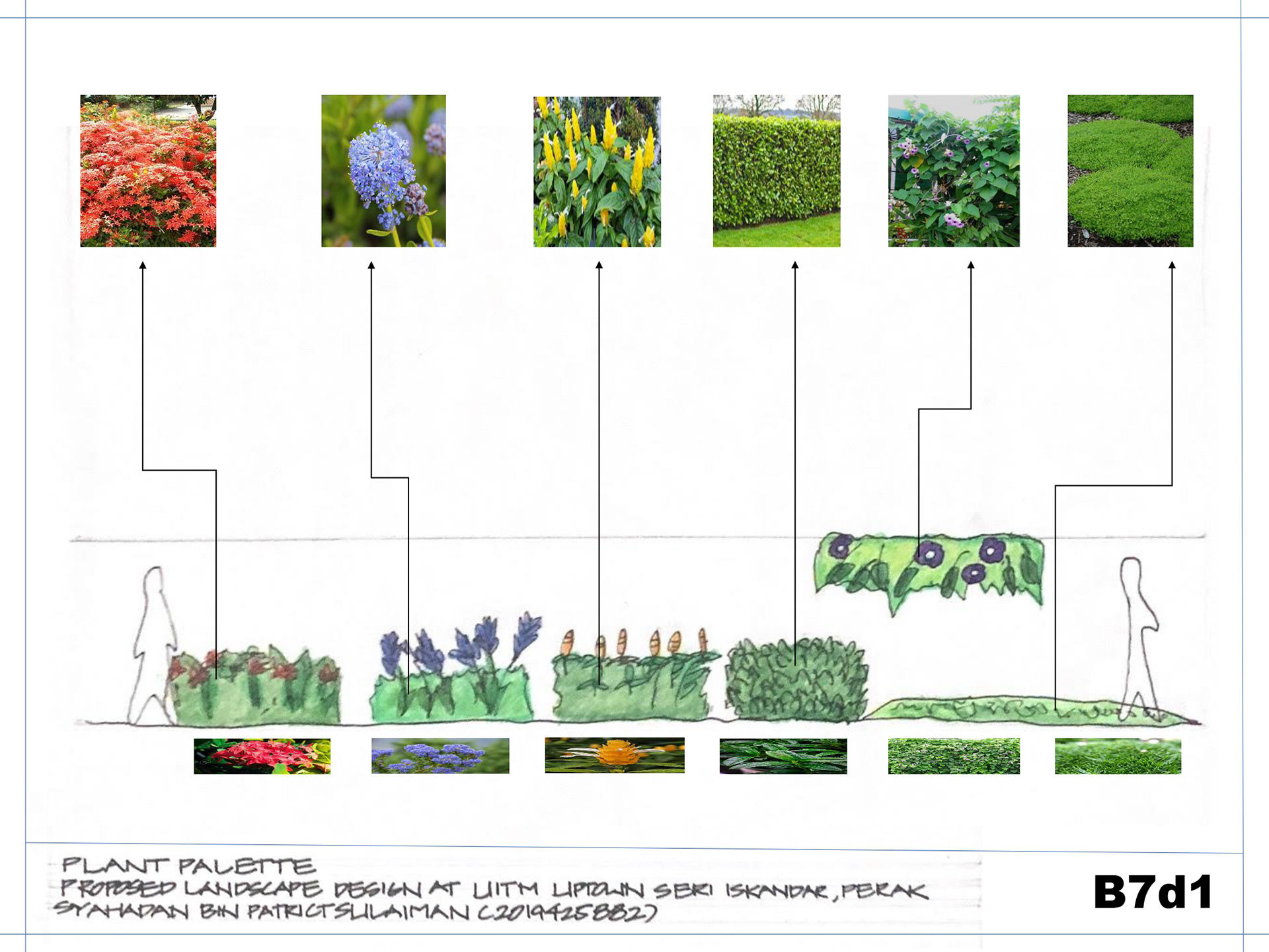 SITE DESIGN PROCESS-6
