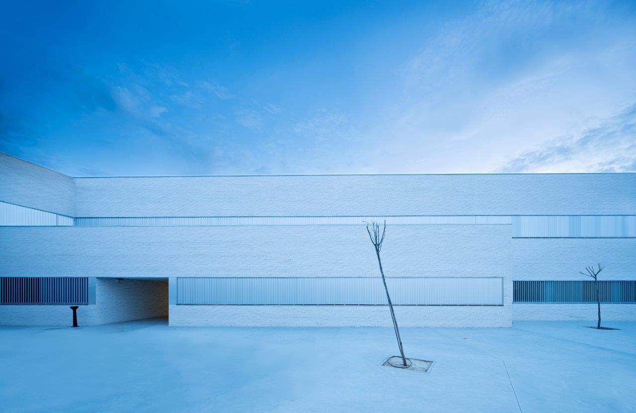 西班牙Indira Gandhi公立学校-47