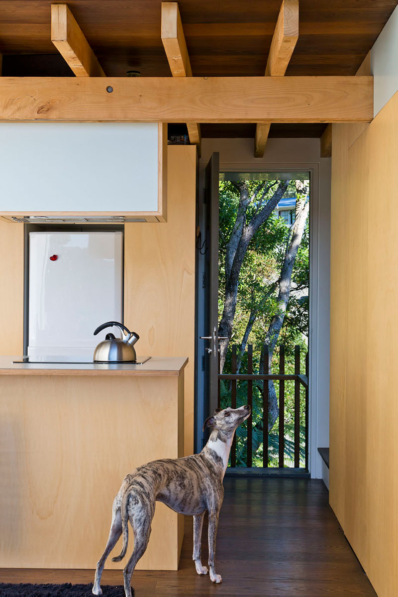 新西兰 50 平米玻璃墙小屋 | 极简与自然的完美结合-14