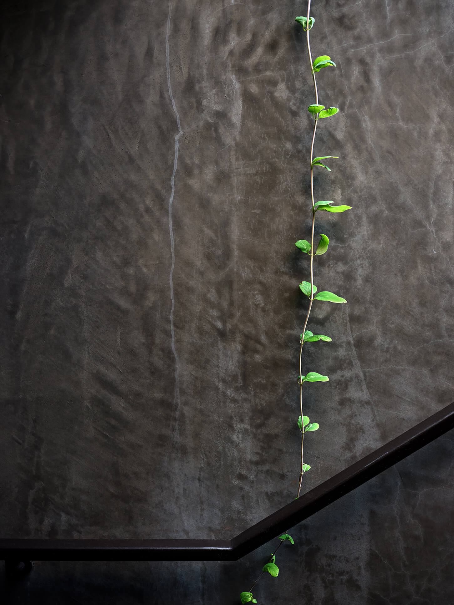 霍克情侣巷（情侣巷）丨美国达拉斯丨Droese Raney（建筑）,Laura Kirar（室内）-25